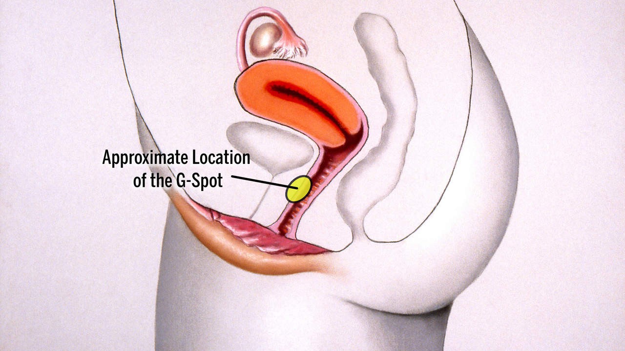 Điểm G có thật không? Góc nhìn khoa học về cảm xúc và khoái cảm